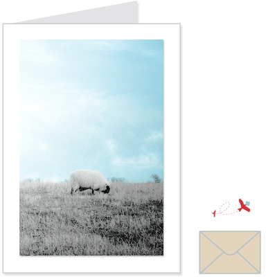 one sheep<br>CNAN:1001