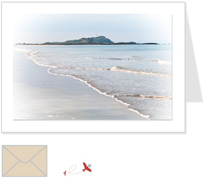pale fidra island<br>ELFI:001