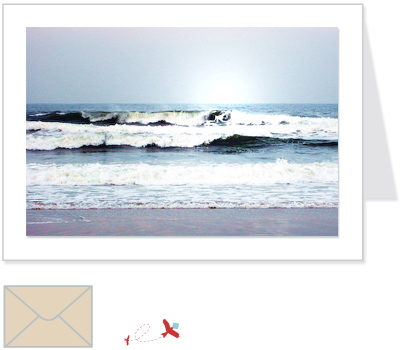 waves<br>ELCO:002