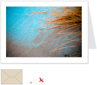 winter beach<br>CLOS:004