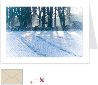 winter field<br>ELCN:002