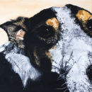 LAURA PUGH
