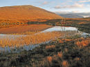 Corrour Dawn