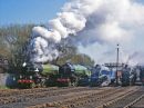 LNER Pacifics