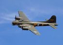 Sally B