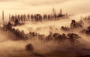 Curbar Mist