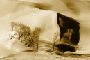 Sandscape
