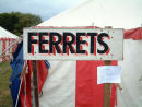 Country Show