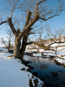 Wharfe