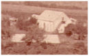 Kelder 1880