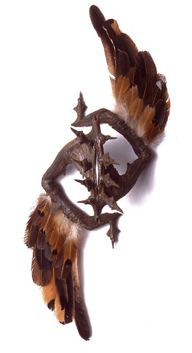 Flying Fuck