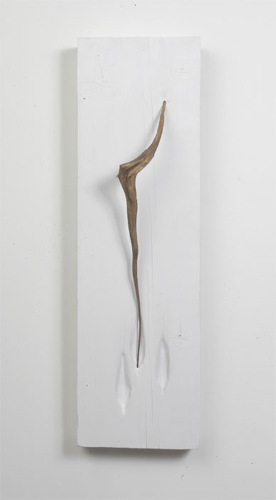 Wisp wood