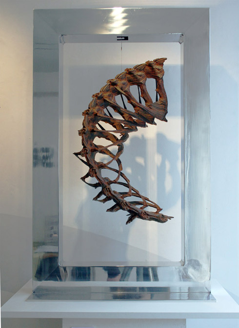 Synaptic ammonite torso