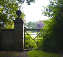 Country View II