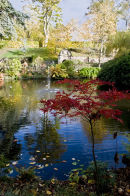 Autumn in the Dingle, Shrewsbury