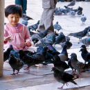 Birdland