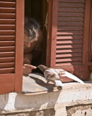 Birdman of Corfu