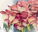 Melody