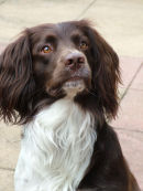 George