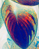Jelly Leaf