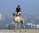 Policeman on a Camel