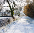 Winter on a Country Lane