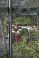 lesson in watering