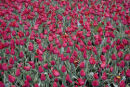 A bedding display in Le Touquet