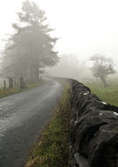 Whither