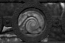 Spirals
