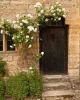 Rose Arch