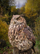 Eagle Owl Sleepy