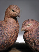 Grouse Pair