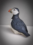 Puffin