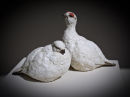 Ptarmigan Pair