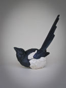 Magpie Tail-up