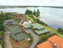 Conifer Grove view