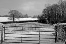 Bleak In Winter.Snowy landscape image.Jpg