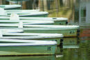 Boats at rest.Jpg