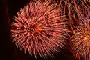 Celabration.A vibrant image of a firework.Jpg