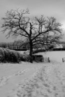 Footprints monochrome Jpg