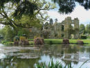 Tranquil Scotney Jpg