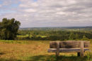 Ashdown Forest Jpg