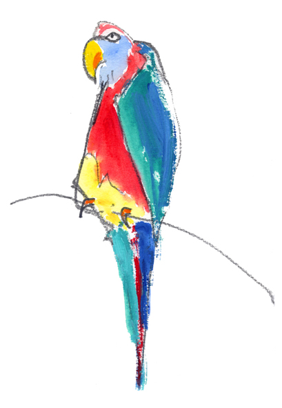 McParrot   
19x27cm (31x41 framed)  
�250
