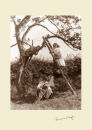'Children in a Fruit Tree'
