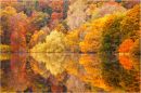 Autumnal Reflections