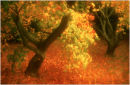 Autumnal