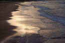 Beach Lines