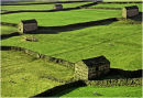 Dales Barns