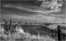 Doxey Marshes
